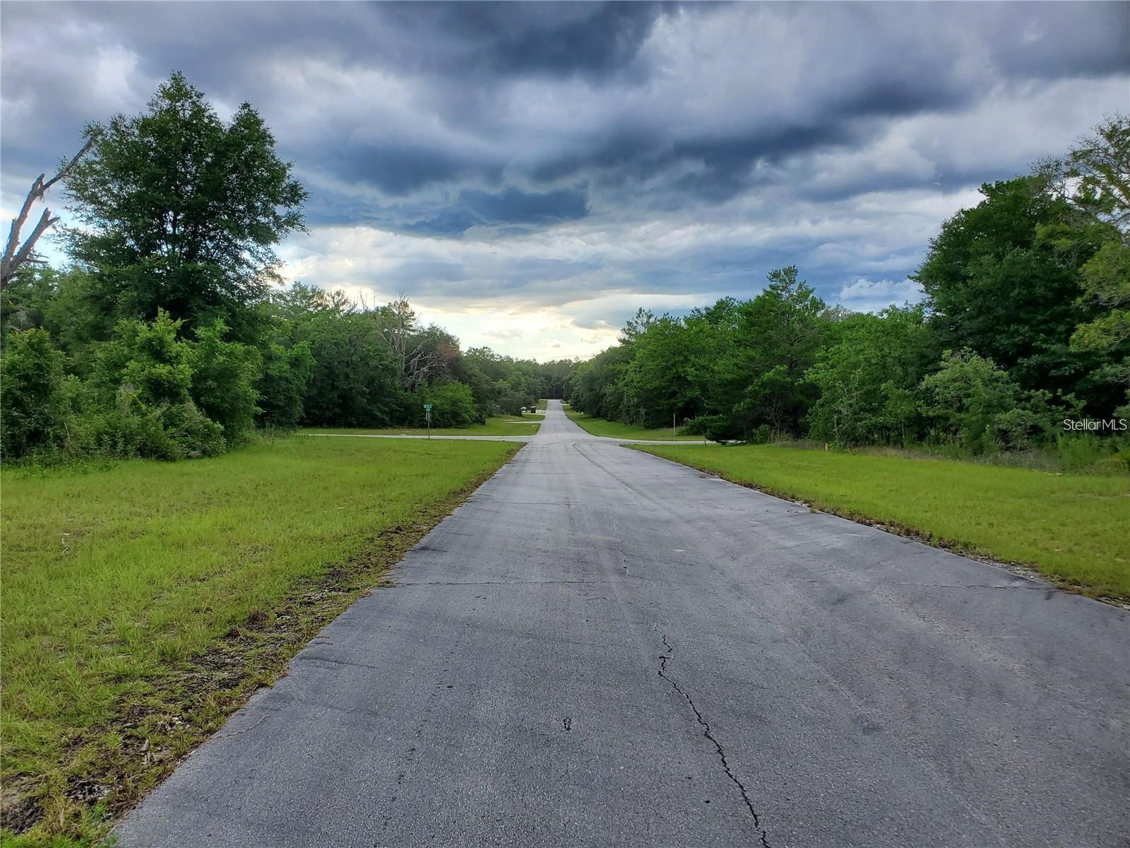 8650 SW 138 Lane Ocala FL 34473 OM718472 image4