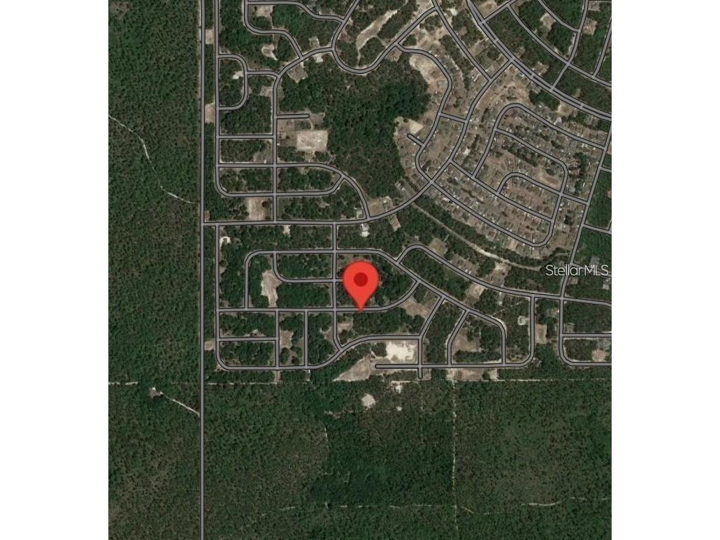 8650 SW 138 Lane Ocala FL 34473 OM718472 image6