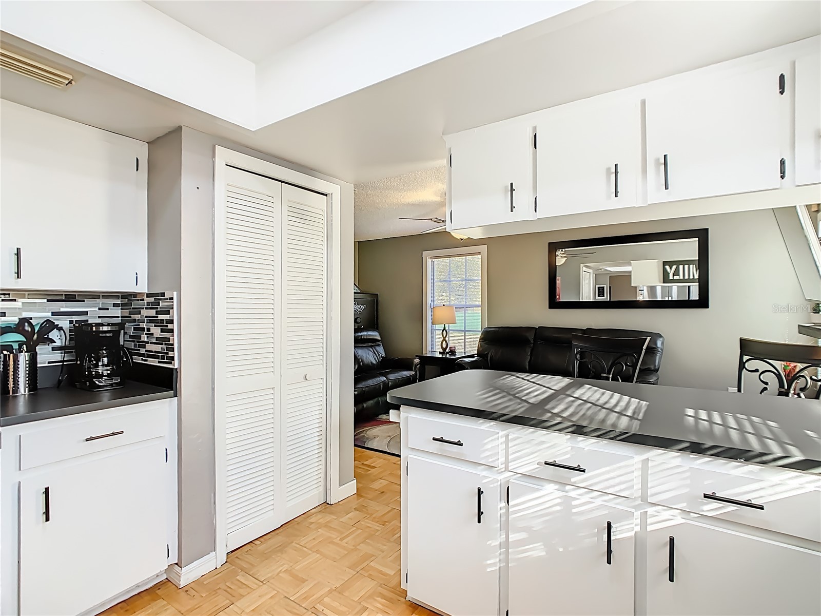 8651 Wee Farms Lane Polk City FL 33868 S5142112 image19