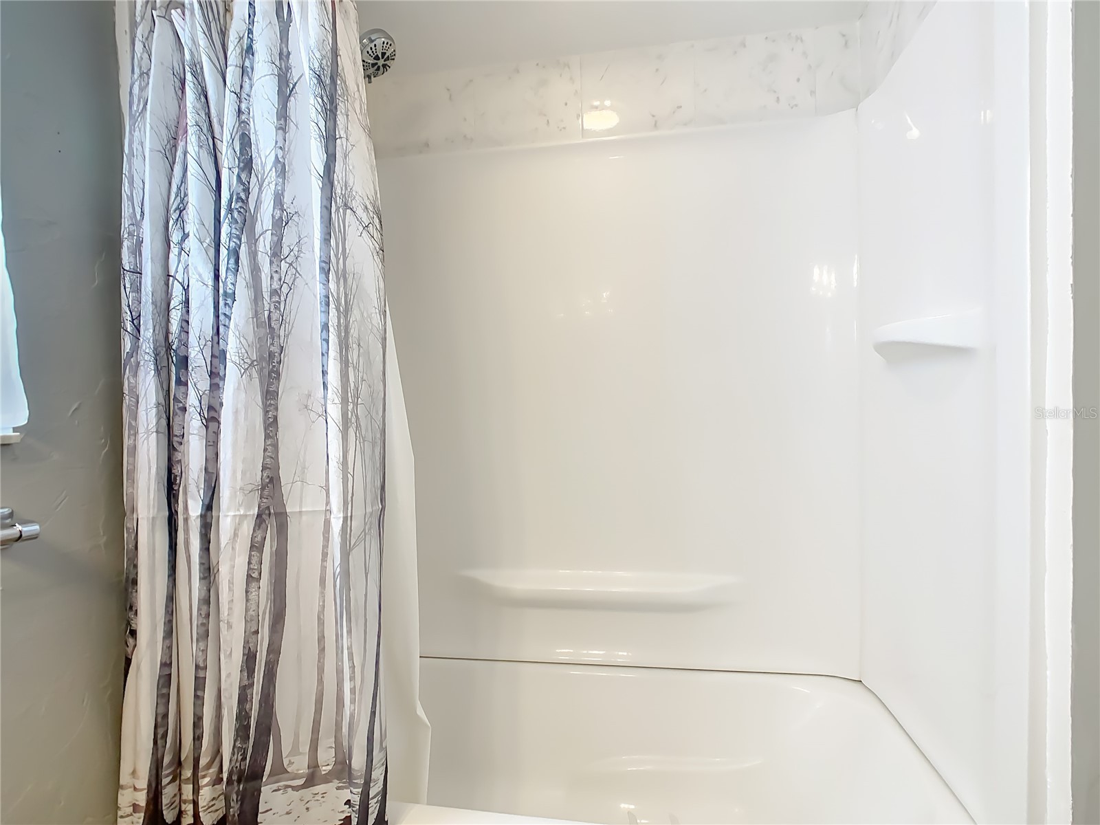 8651 Wee Farms Lane Polk City FL 33868 S5142112 image40