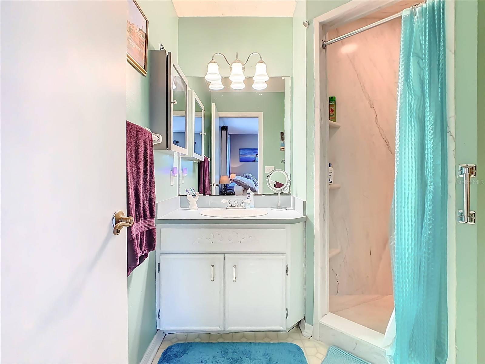 8651 Wee Farms Lane Polk City FL 33868 S5142112 image45