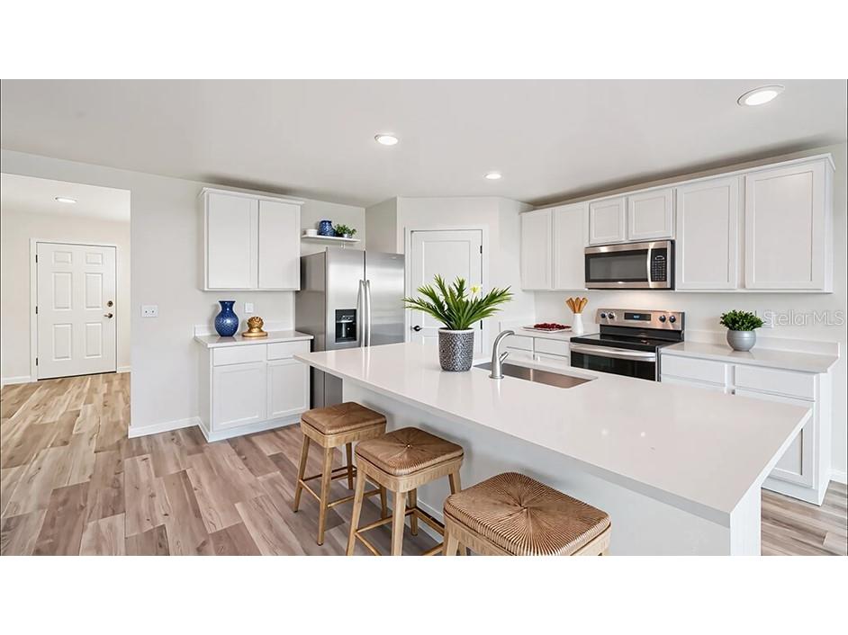 8652 Barragan Drive Wildwood FL 34785 OM717780 image4