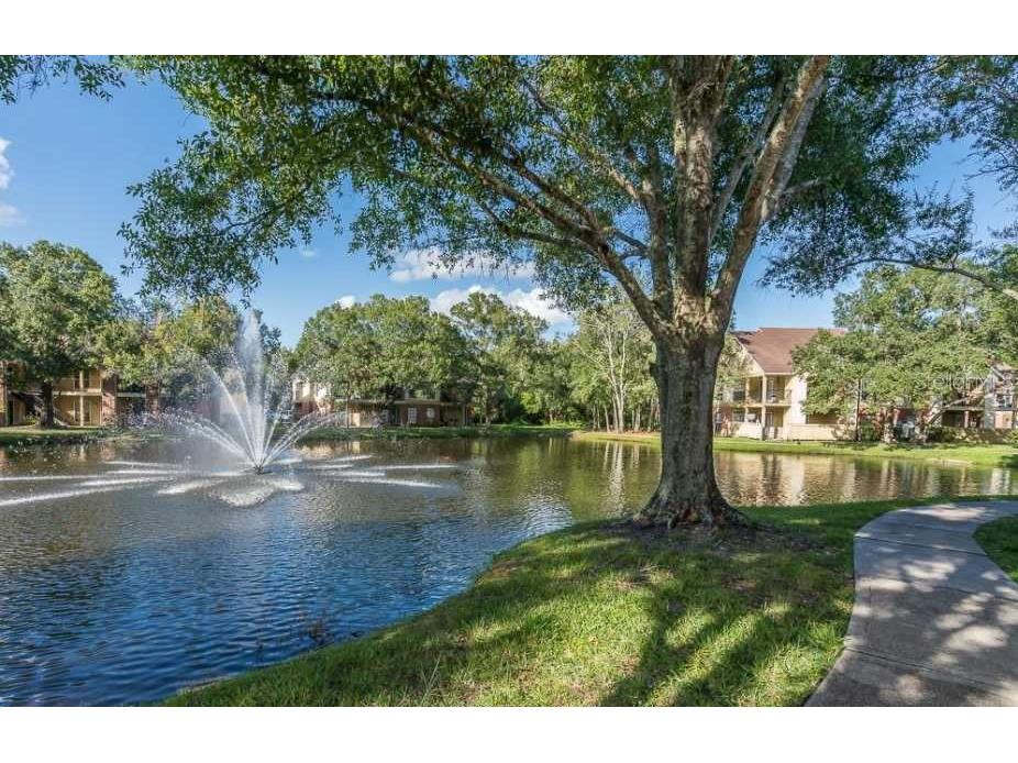 8653 Fancy Finch Drive #104(FURNISHED) Tampa FL 33614 TB8474533 image58