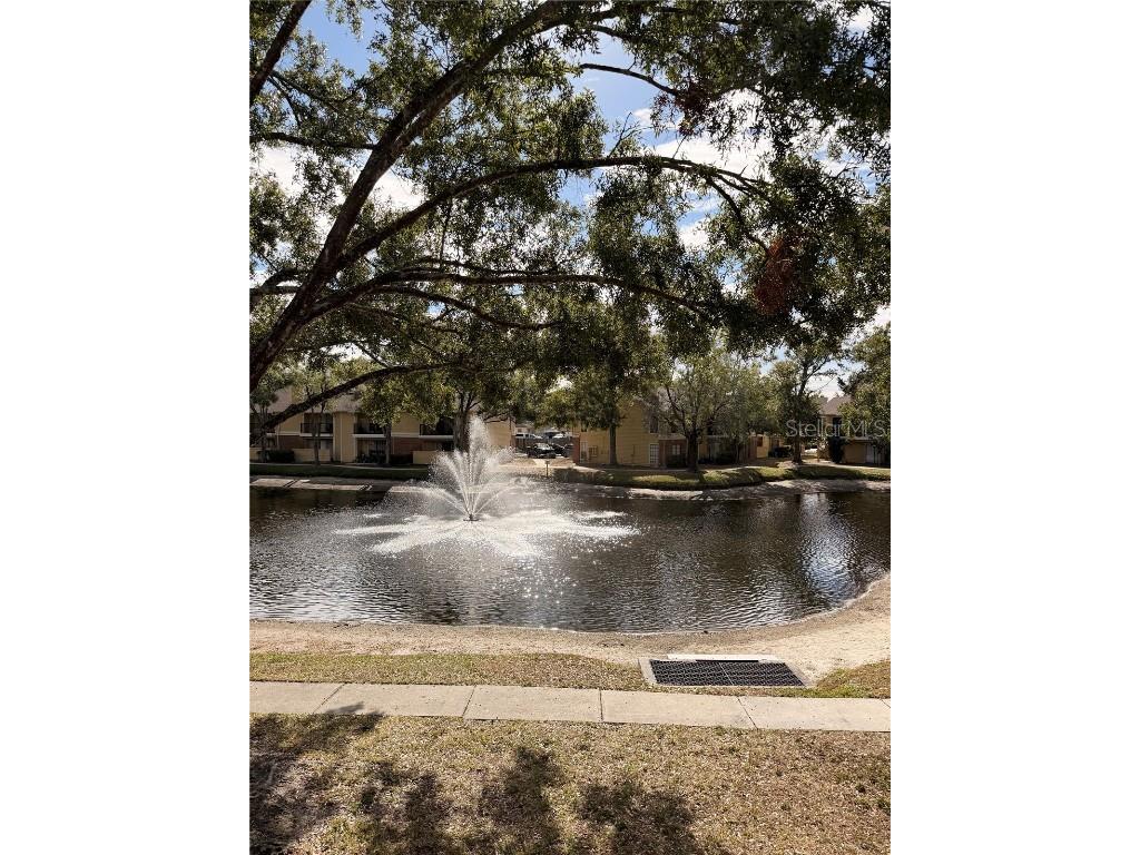 8653 Fancy Finch Drive #204 Tampa FL 33614 TB8453437 image18