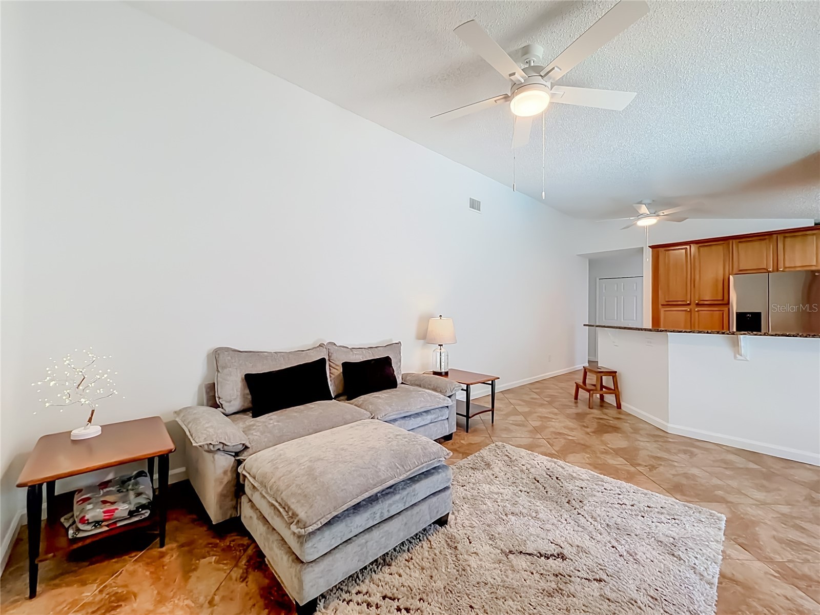 8654 Alegre Circle Orlando FL 32836 O6423602 image27
