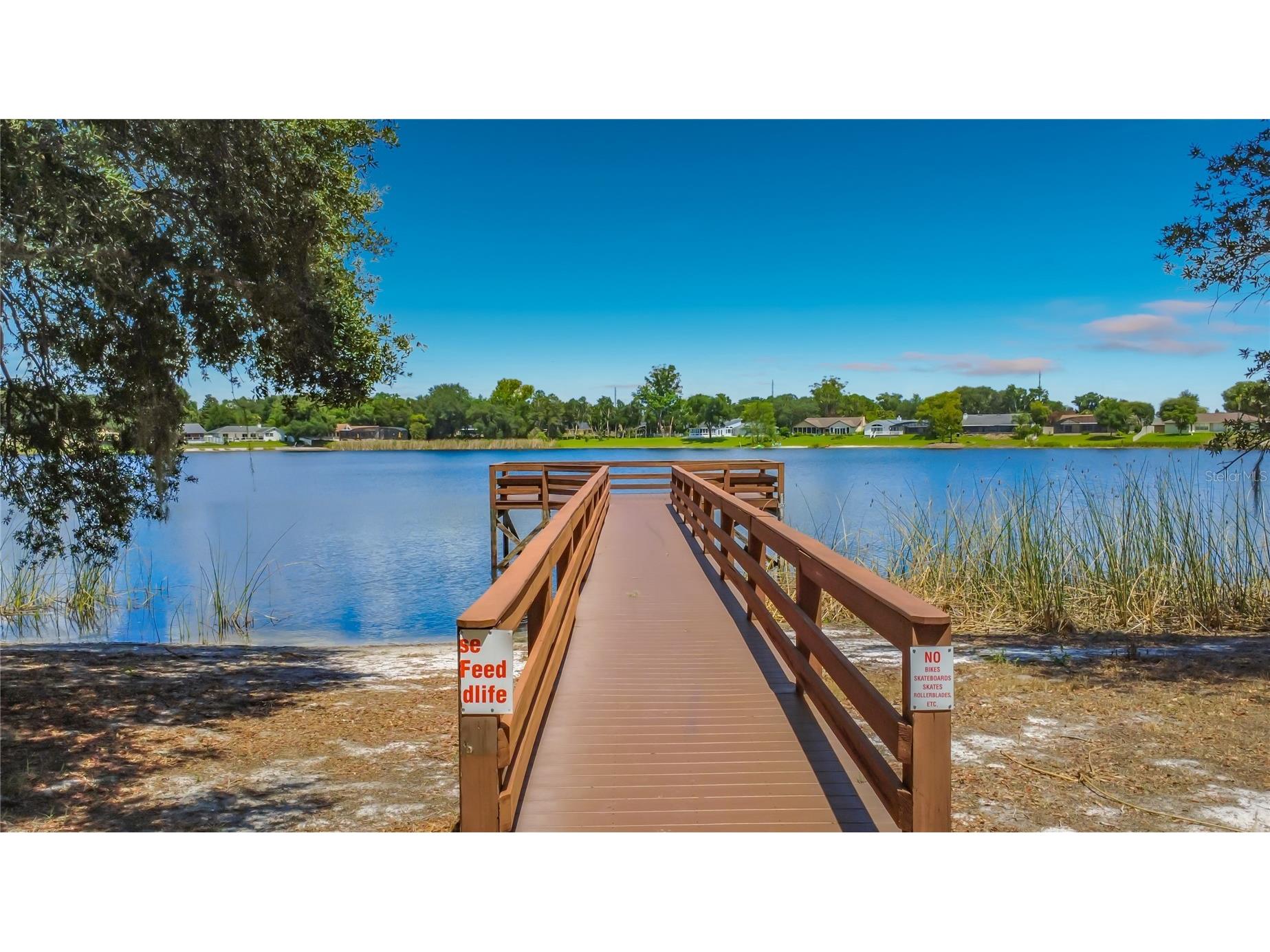8654 Alegre Circle Orlando FL 32836 O6423602 image70