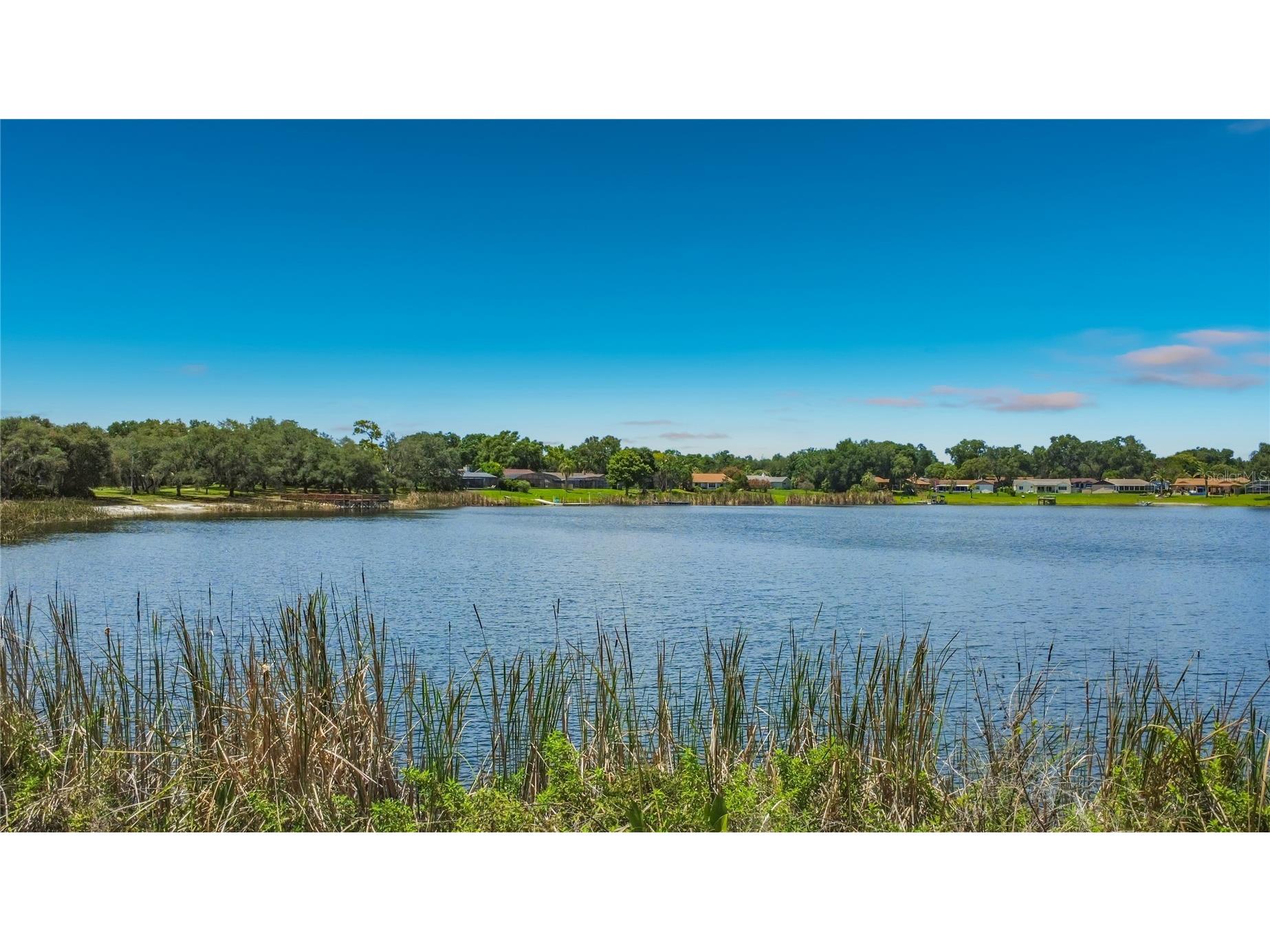 8654 Alegre Circle Orlando FL 32836 O6423602 image76