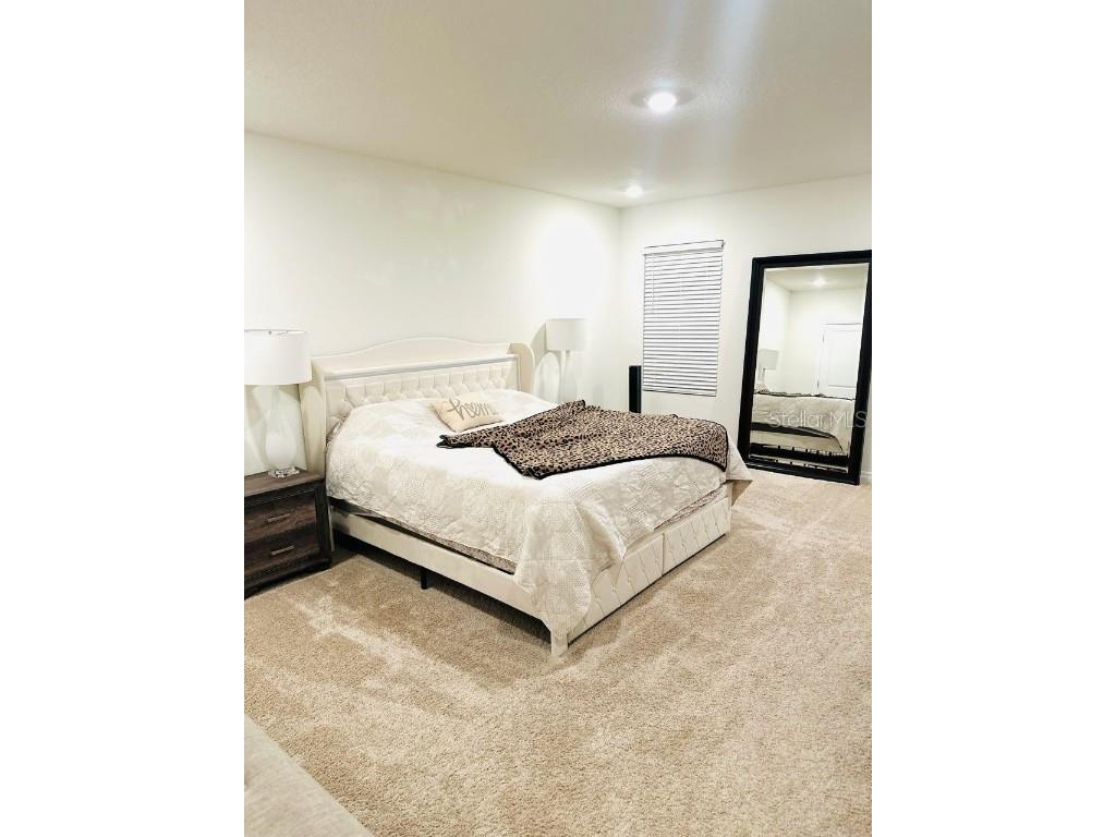 8654 Bower Bass Circle Wesley Chapel FL 33545 W7880147 image10