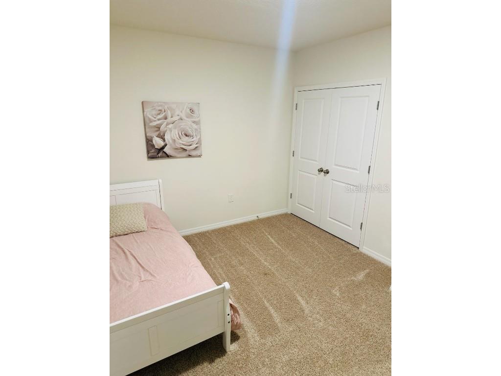 8654 Bower Bass Circle Wesley Chapel FL 33545 W7880147 image11