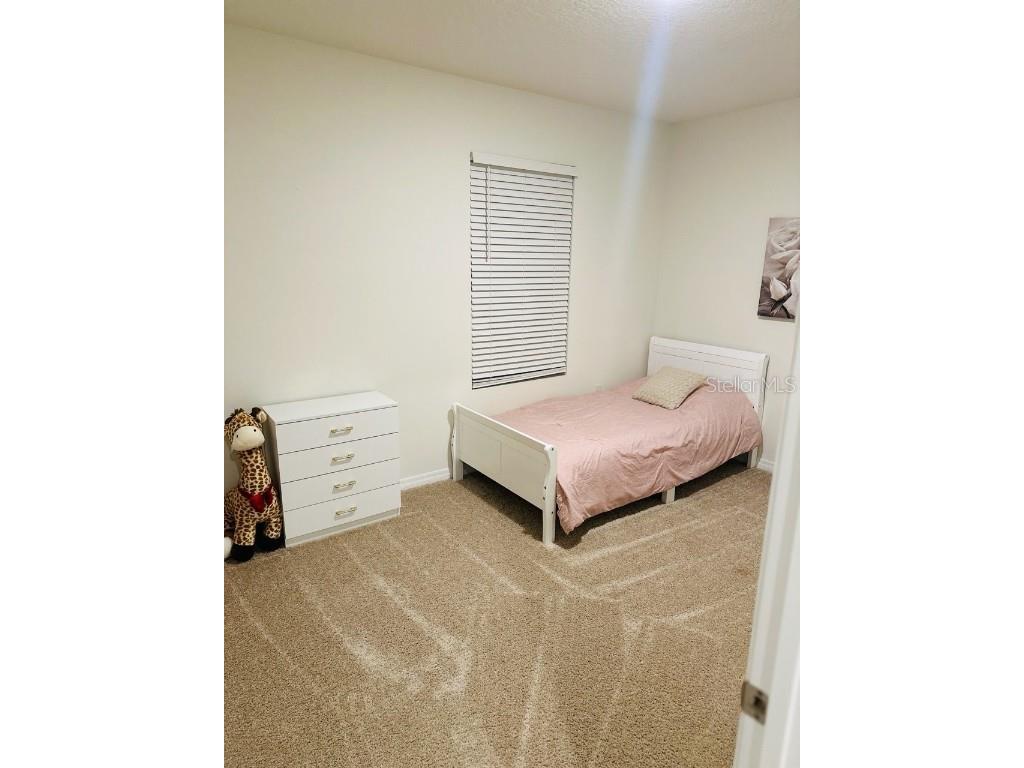 8654 Bower Bass Circle Wesley Chapel FL 33545 W7880147 image12