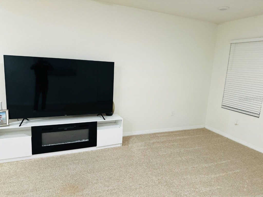 8654 Bower Bass Circle Wesley Chapel FL 33545 W7880147 image18