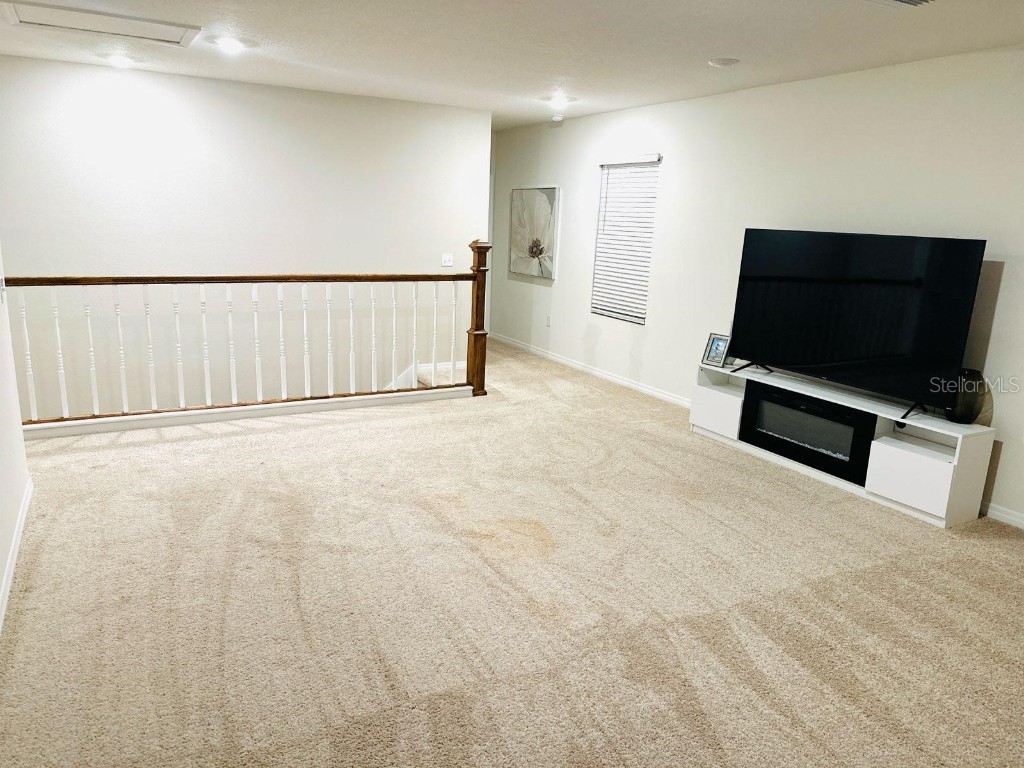 8654 Bower Bass Circle Wesley Chapel FL 33545 W7880147 image19