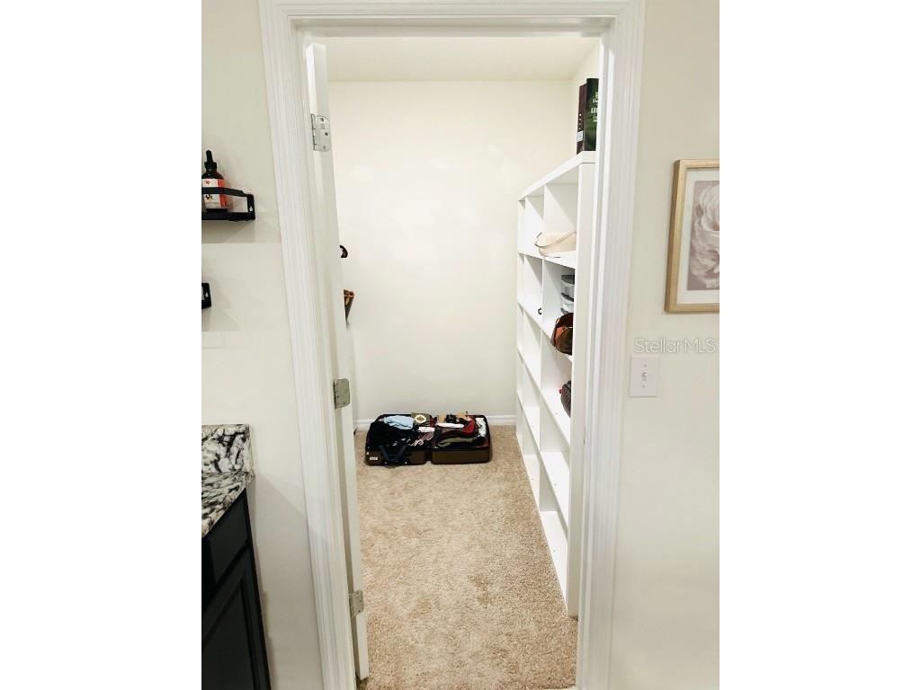 8654 Bower Bass Circle Wesley Chapel FL 33545 W7880147 image2