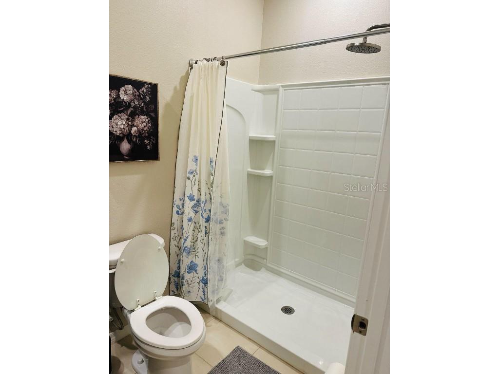 8654 Bower Bass Circle Wesley Chapel FL 33545 W7880147 image21