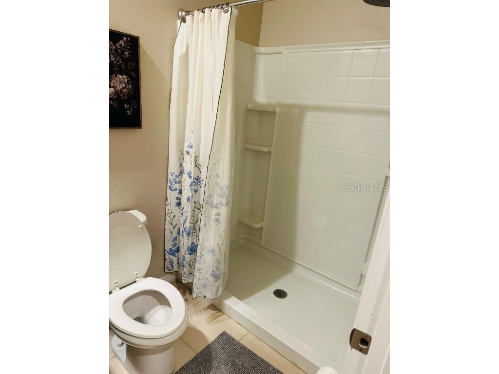 8654 Bower Bass Circle Wesley Chapel FL 33545 W7880147 image29