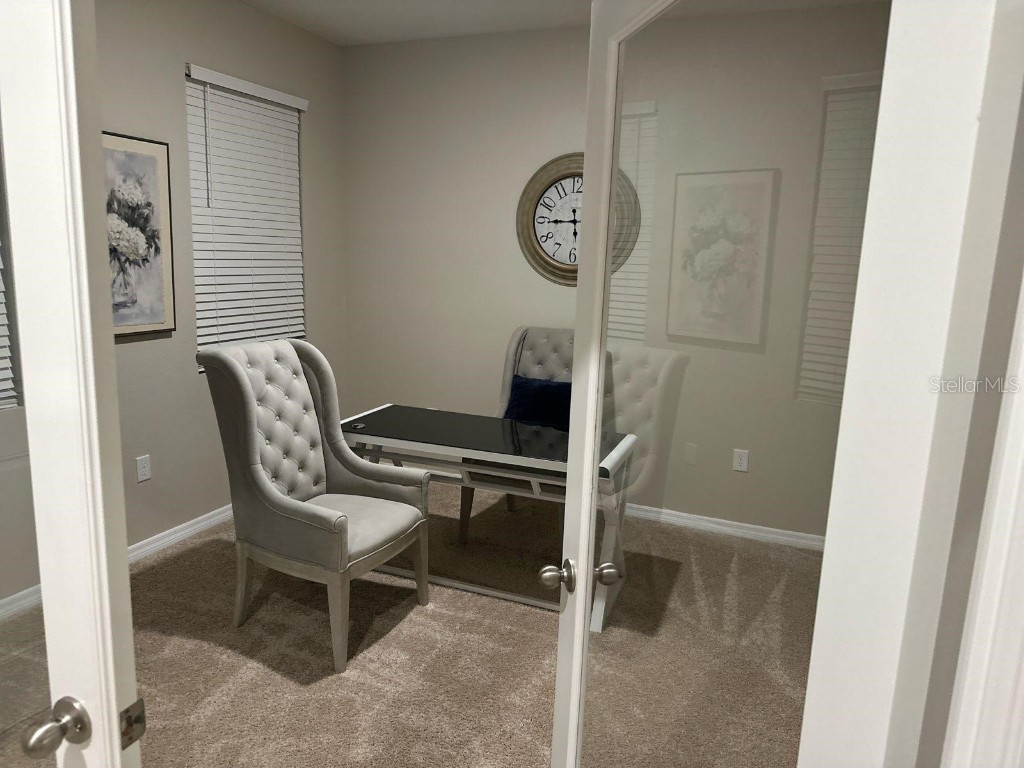 8654 Bower Bass Circle Wesley Chapel FL 33545 W7880147 image32