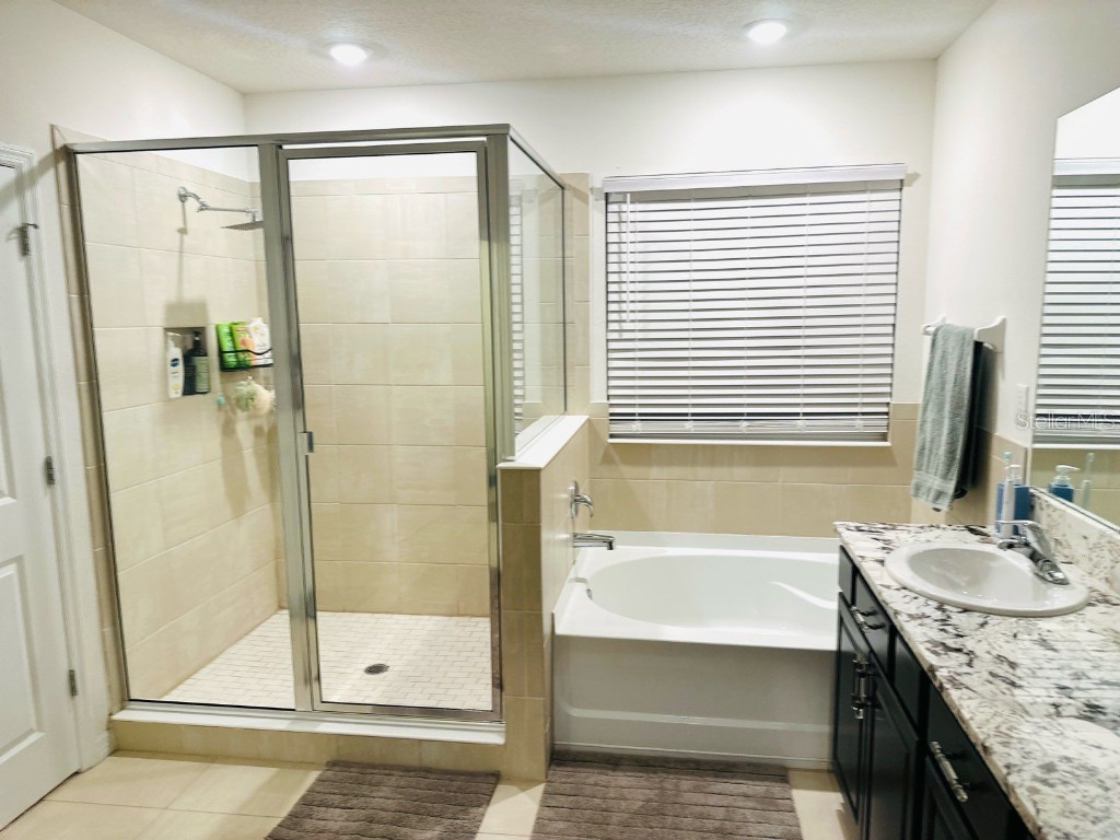 8654 Bower Bass Circle Wesley Chapel FL 33545 W7880147 image4