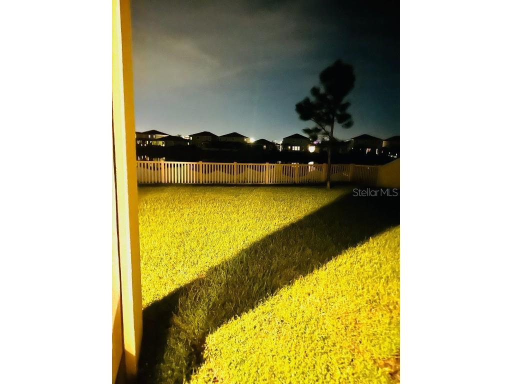 8654 Bower Bass Circle Wesley Chapel FL 33545 W7880147 image41