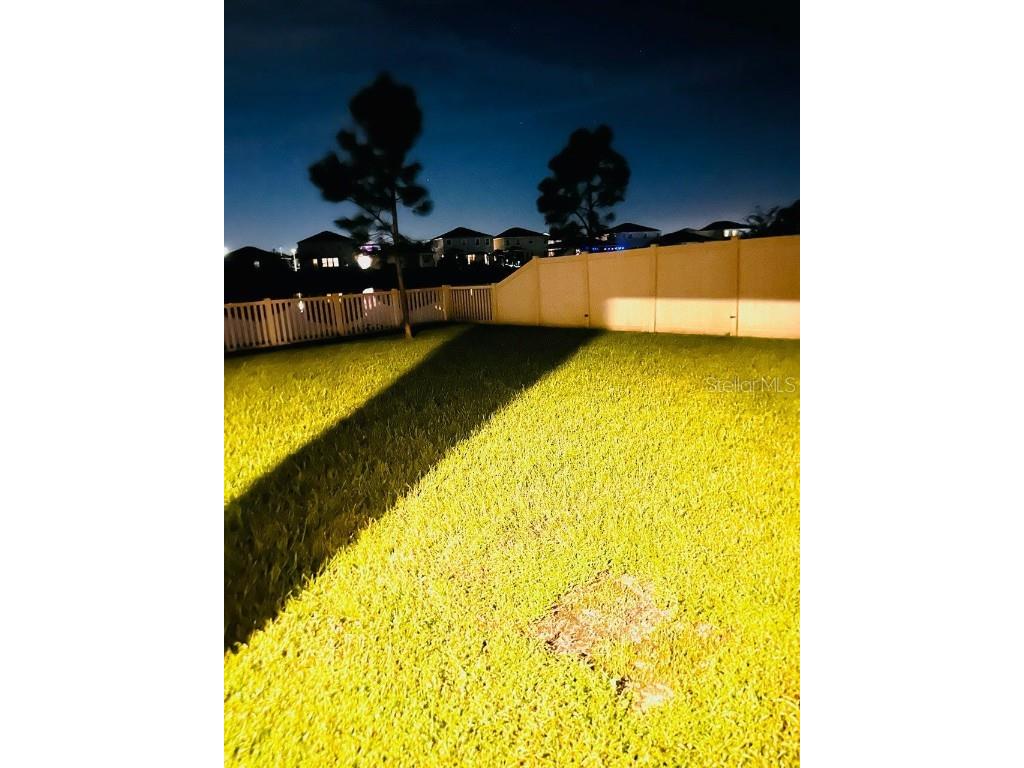 8654 Bower Bass Circle Wesley Chapel FL 33545 W7880147 image42