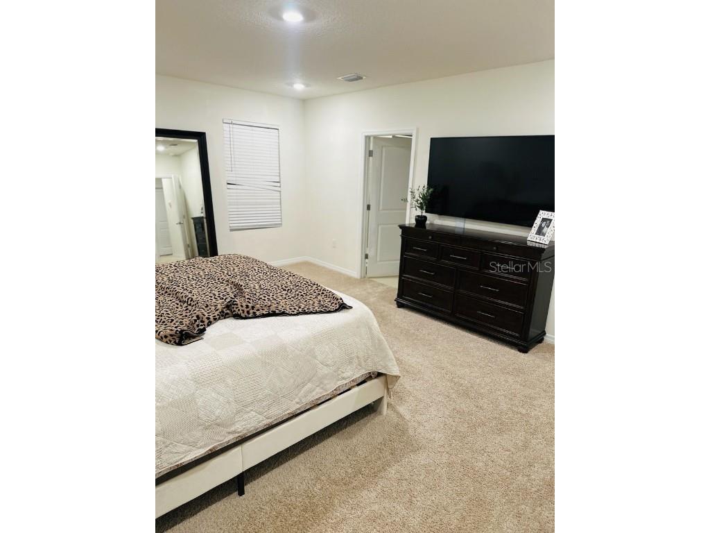 8654 Bower Bass Circle Wesley Chapel FL 33545 W7880147 image8