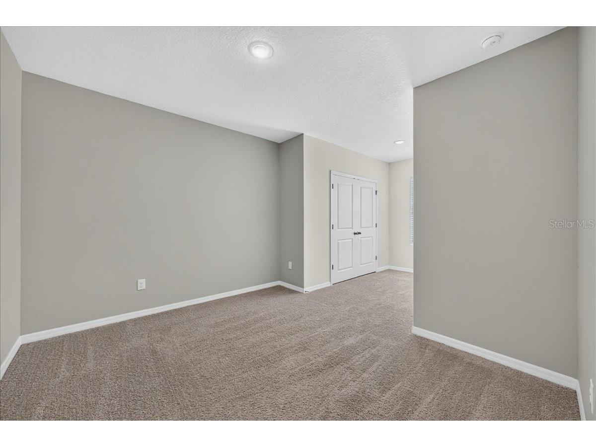 8655 Falling Blue Place Riverview FL 33578 TB8522649 image19