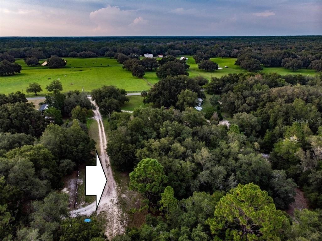 8657 N Catskill Point Dunnellon FL 34433 OM662136 image1