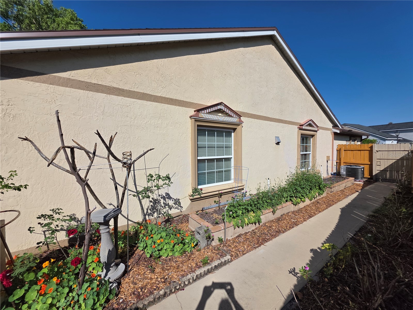 866 E Charing Cross Circle Lake Mary FL 32746 O6396789 image26