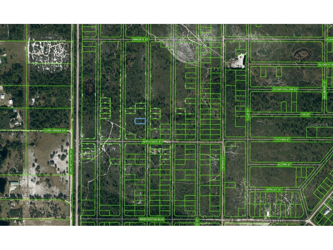 866 Scarlet Oak Street Lake Placid FL 33852 OM625676 image1