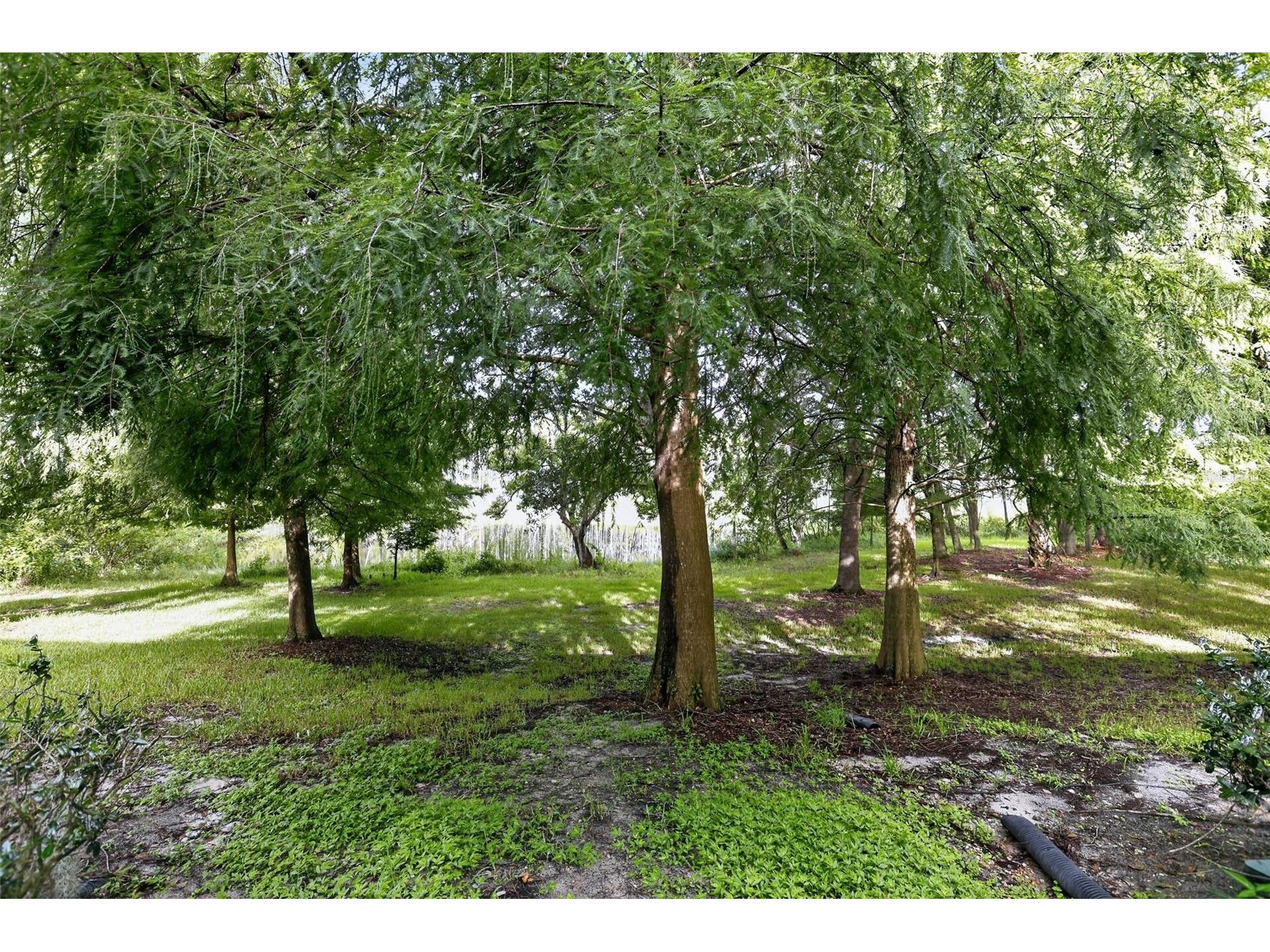 866 Vineland Place Lake Mary FL 32746 O6428047 image30