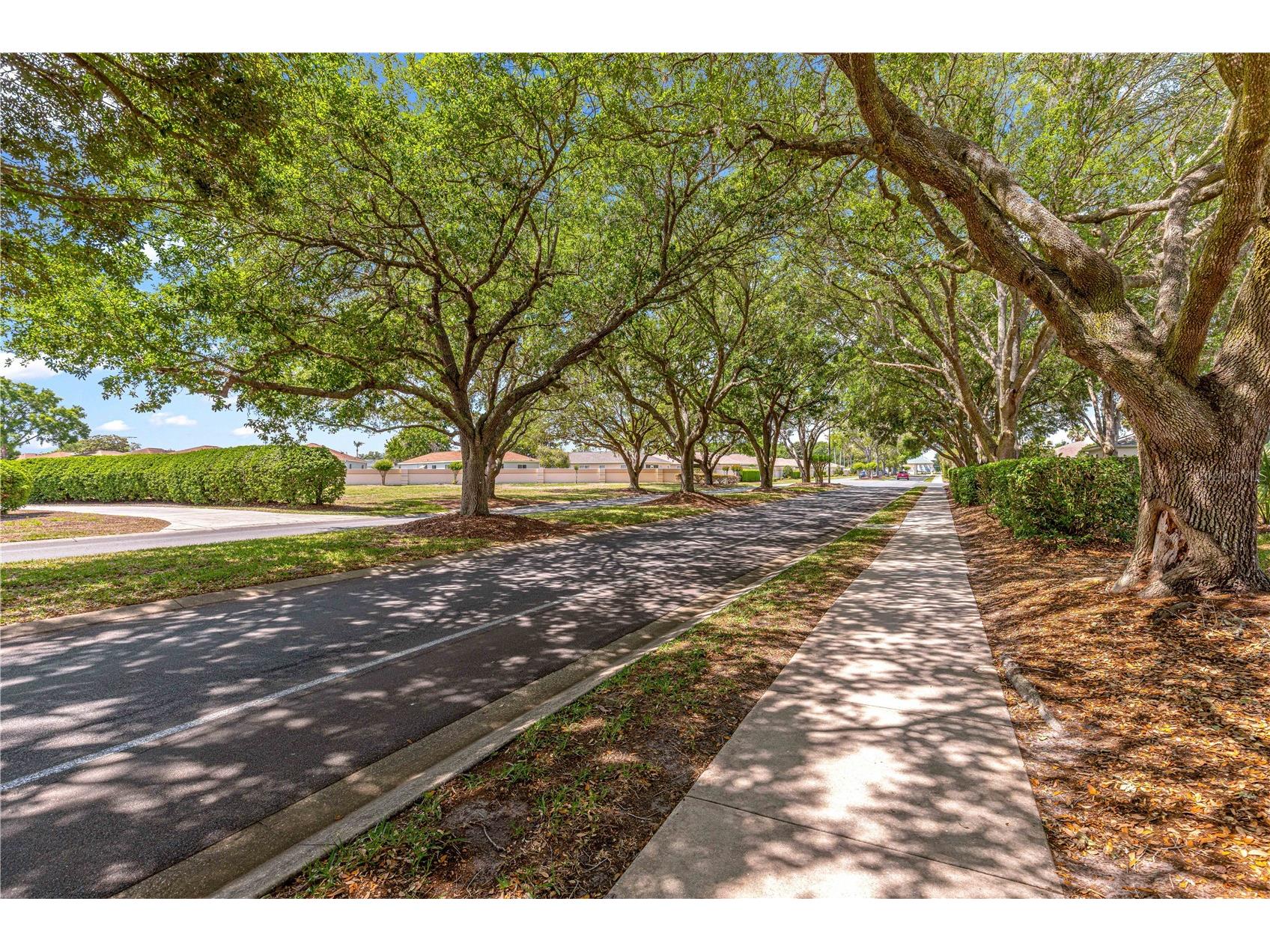 8660 SE 140th Place Road Summerfield FL 34491 OM723264 image28