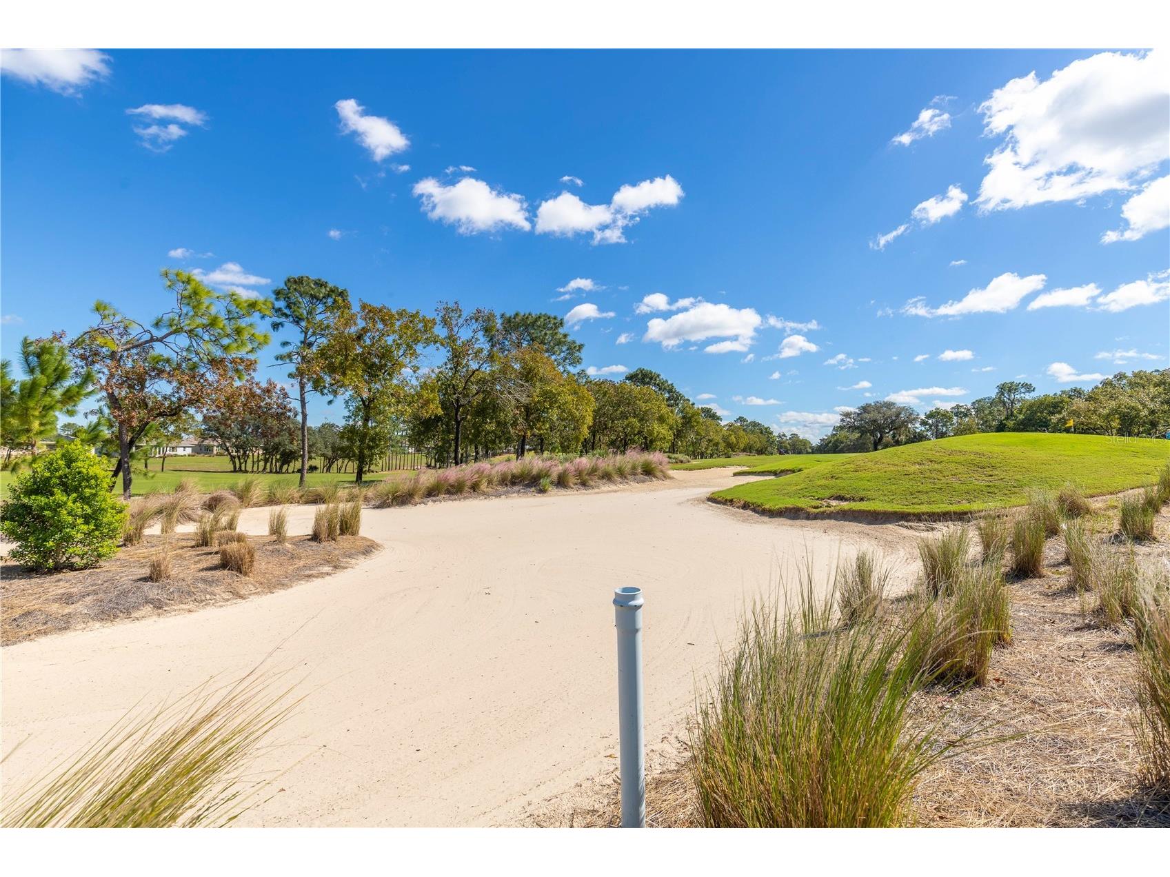 8660 SW 94th Street #F Ocala FL 34481 OM710205 image53