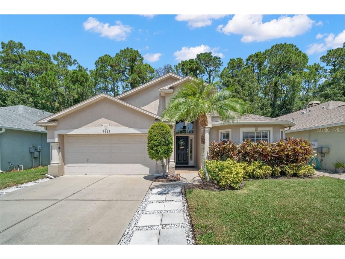 8662 Manassas Road Tampa FL 33635 T3469869 image1