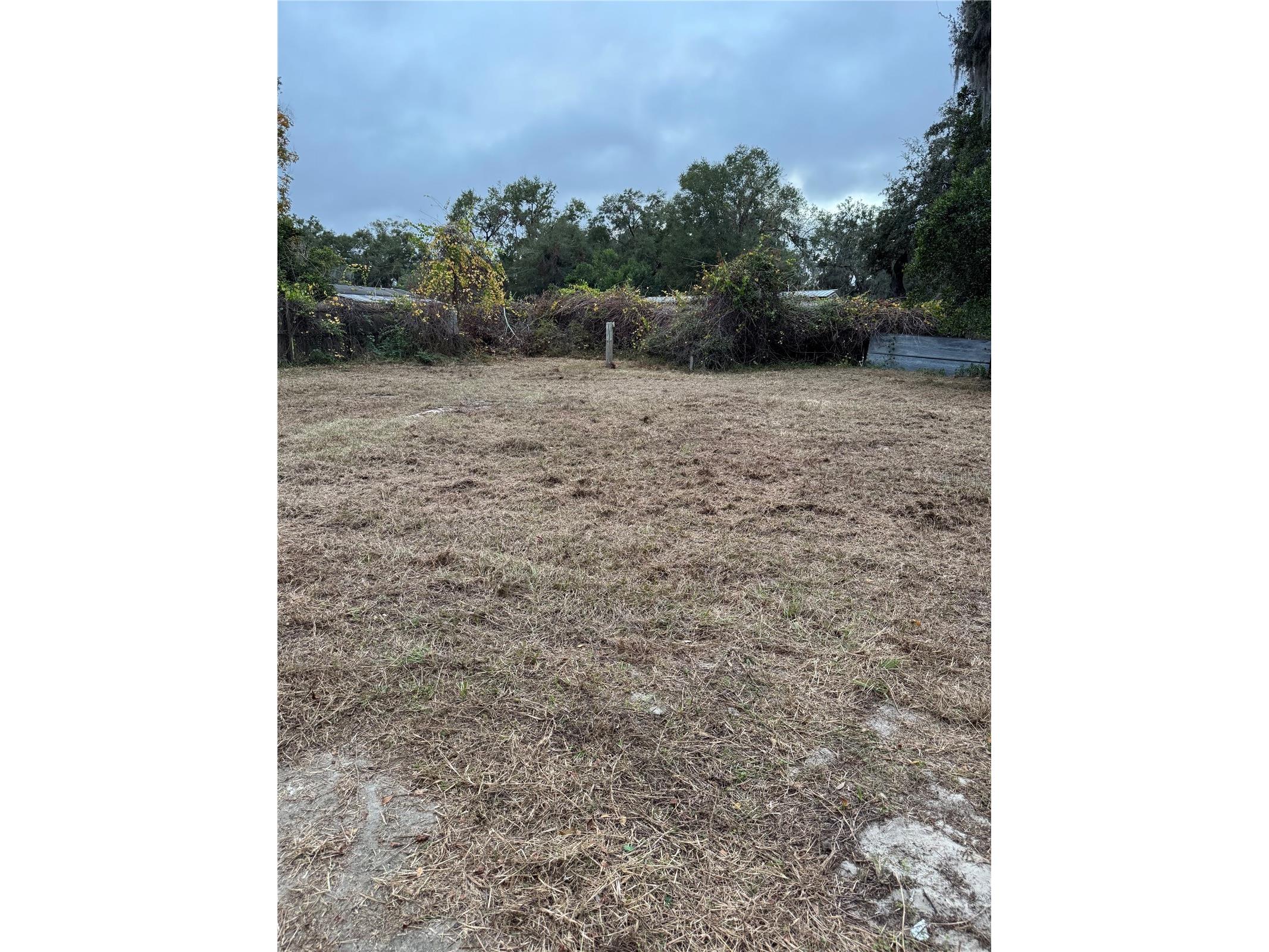 8663 E Hooker Place Floral City FL 34436 TB8357265 image1