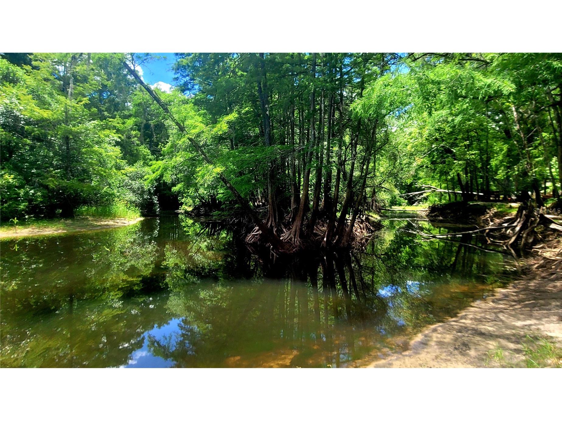 8664 Cr 639 Bushnell FL 33513 TB8518901 image26