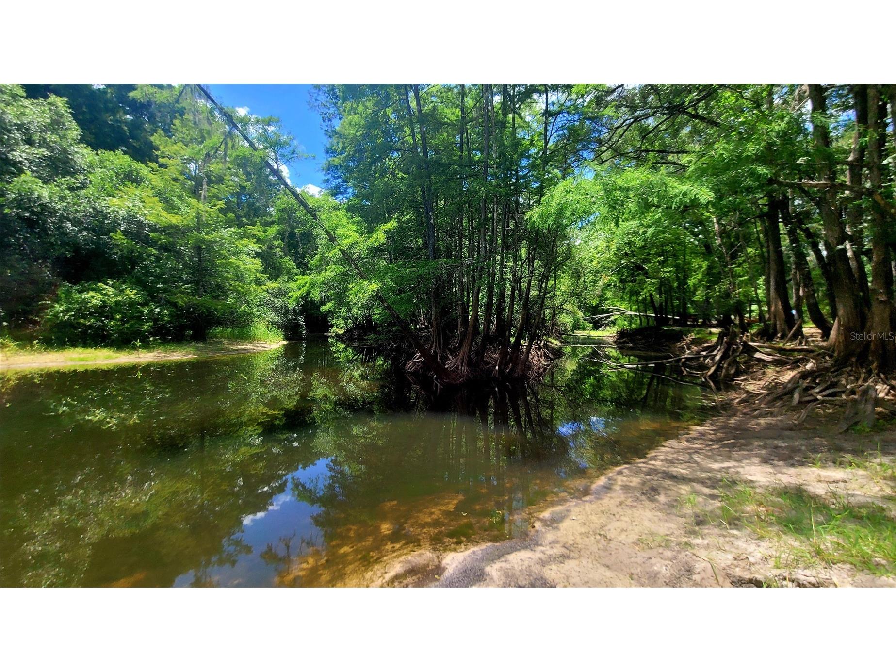 8664 Cr 639 Bushnell FL 33513 TB8518901 image27