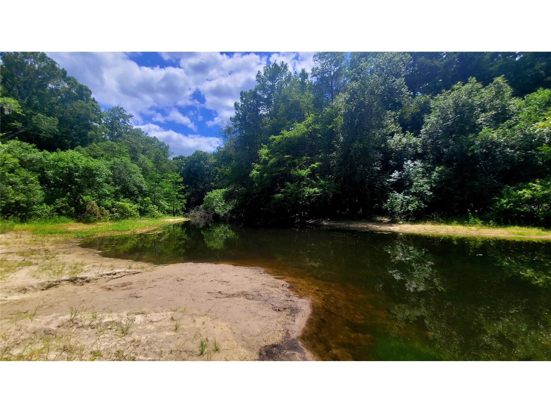 8664 Cr 639 Bushnell FL 33513 TB8518901 image28