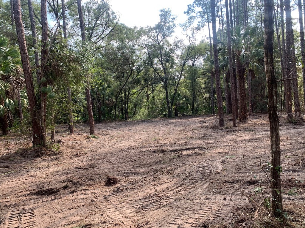 8664 W Rue Des Prairies Place Crystal River FL 34428 OM664098 image1