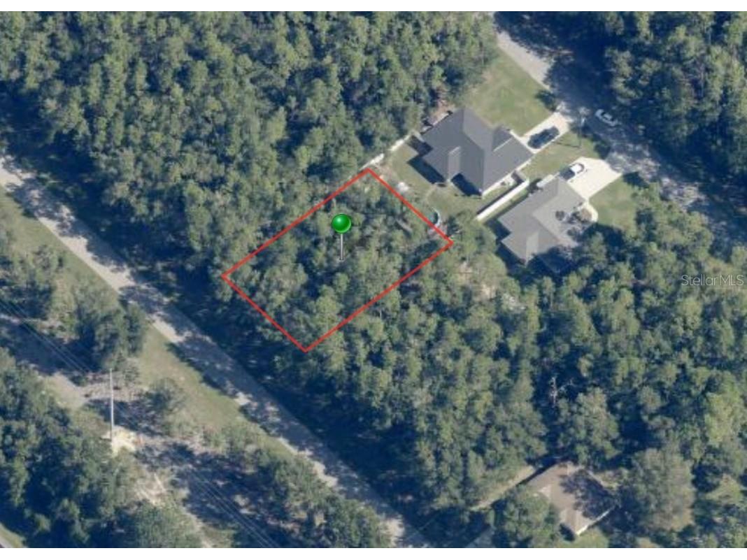 8667 N Quarry Drive Citrus Springs FL 34434 OM654191 image1