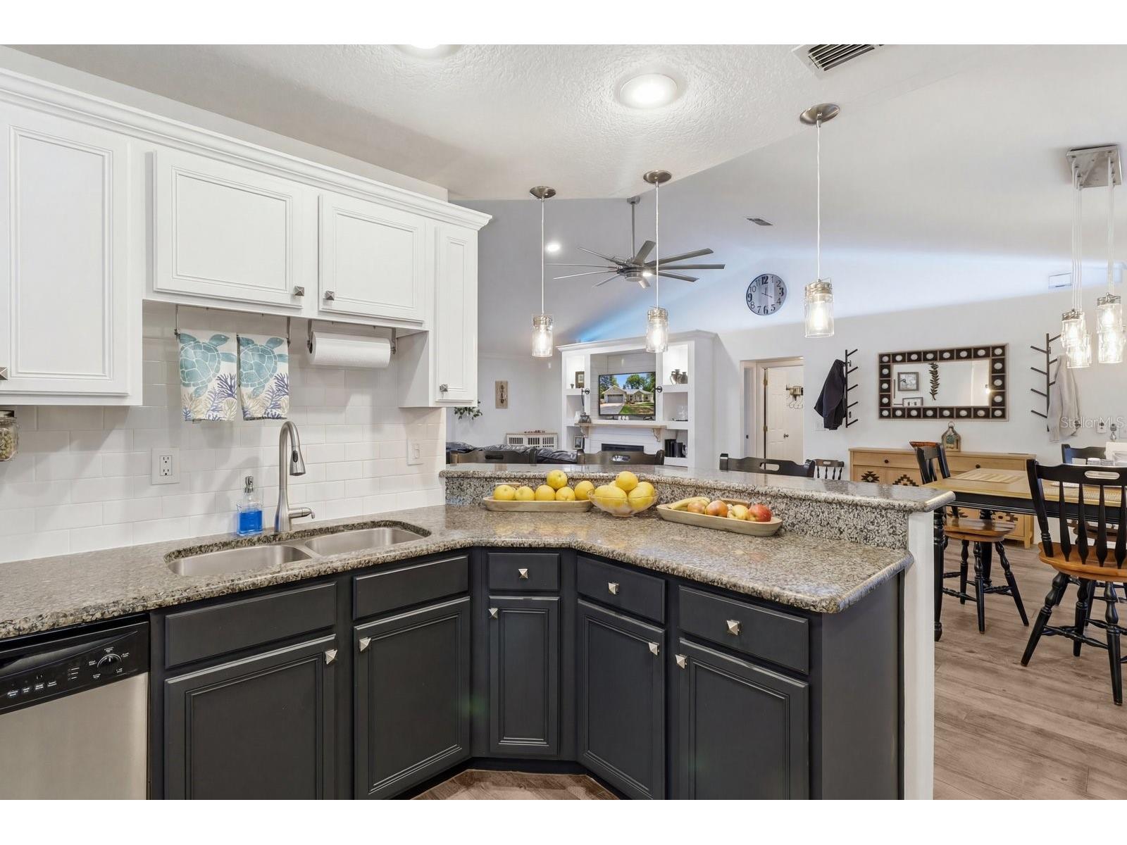 8667 N Upland Drive Citrus Springs FL 34434 OM727791 image14