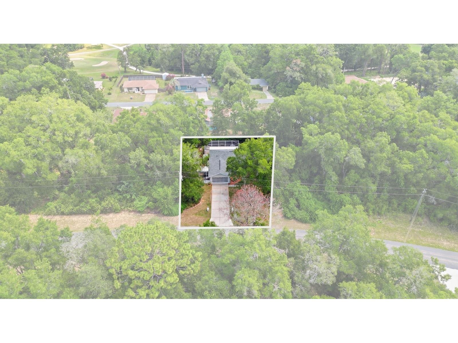 8667 N Upland Drive Citrus Springs FL 34434 OM727791 image2