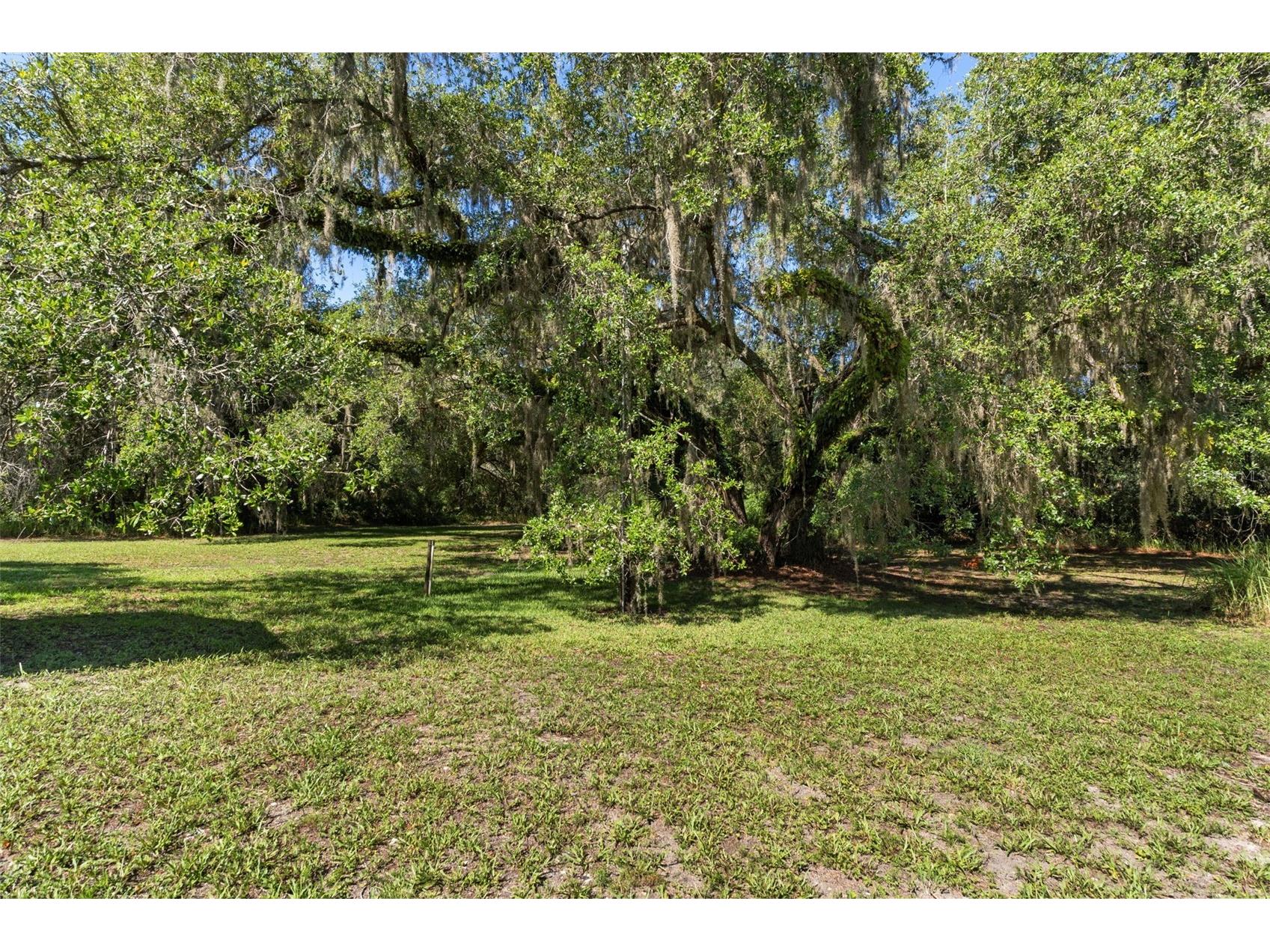 8668 N Elmtree Avenue Crystal River FL 34428 OM727892 image22