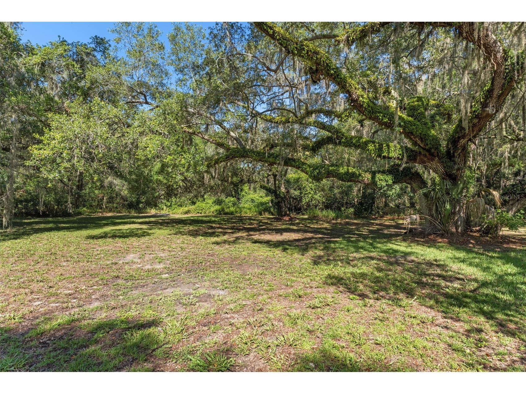 8668 N Elmtree Avenue Crystal River FL 34428 OM727892 image23