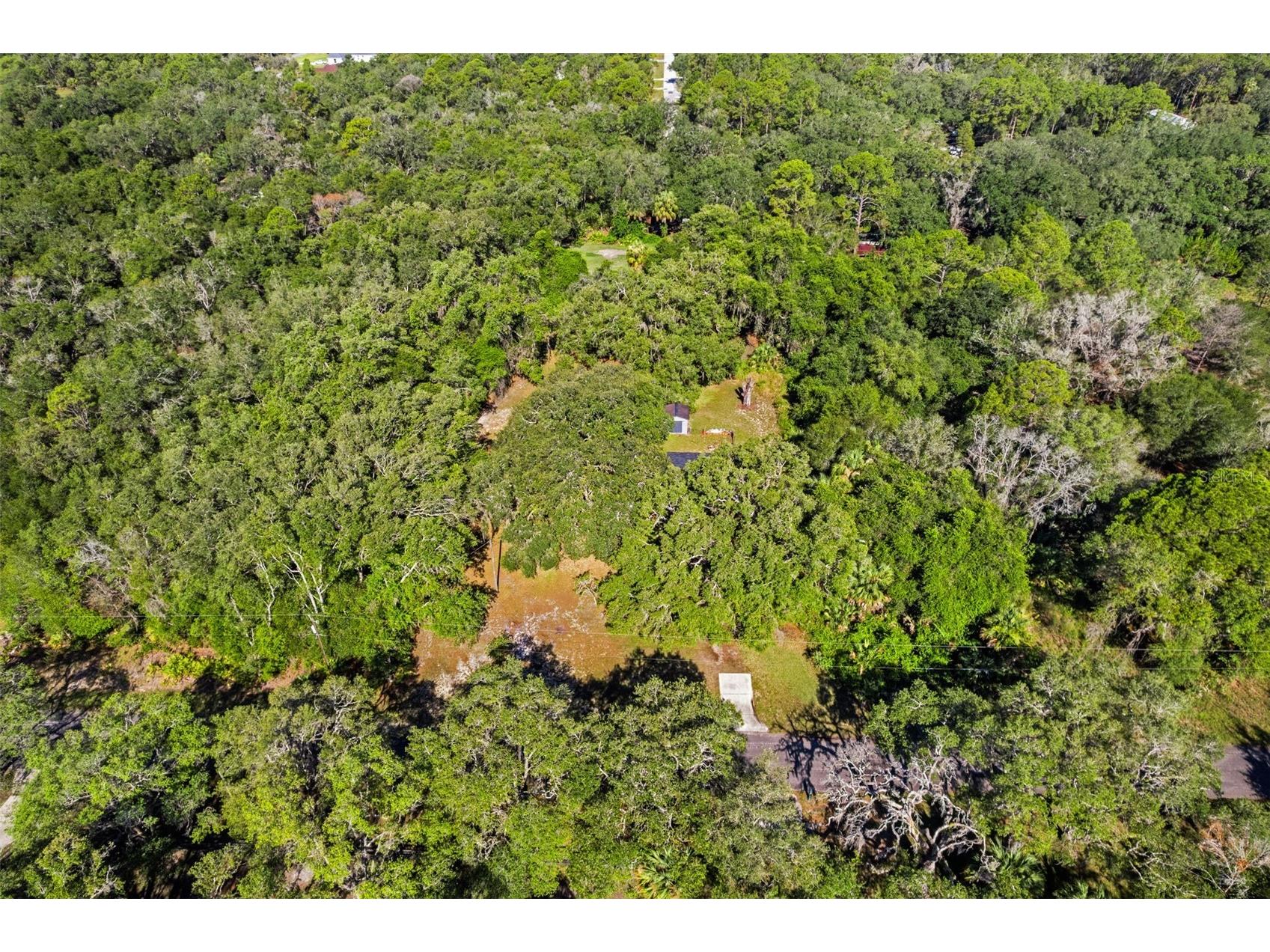8668 N Elmtree Avenue Crystal River FL 34428 OM727892 image25