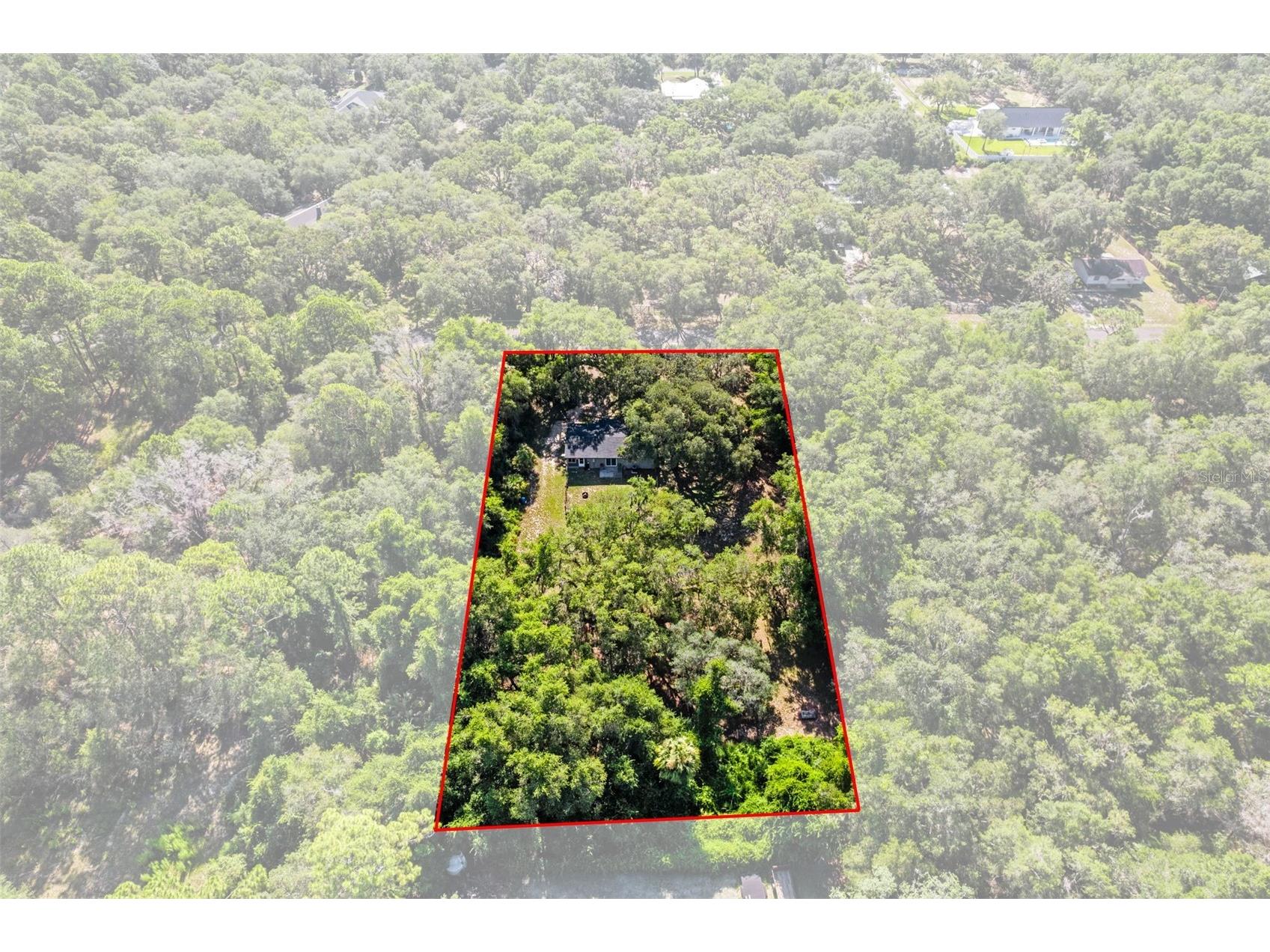 8668 N Elmtree Avenue Crystal River FL 34428 OM727892 image26