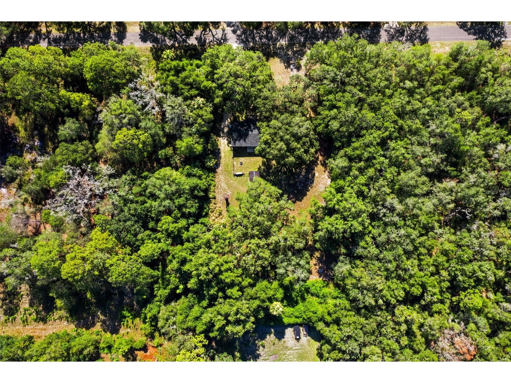 8668 N Elmtree Avenue Crystal River FL 34428 OM727892 image27