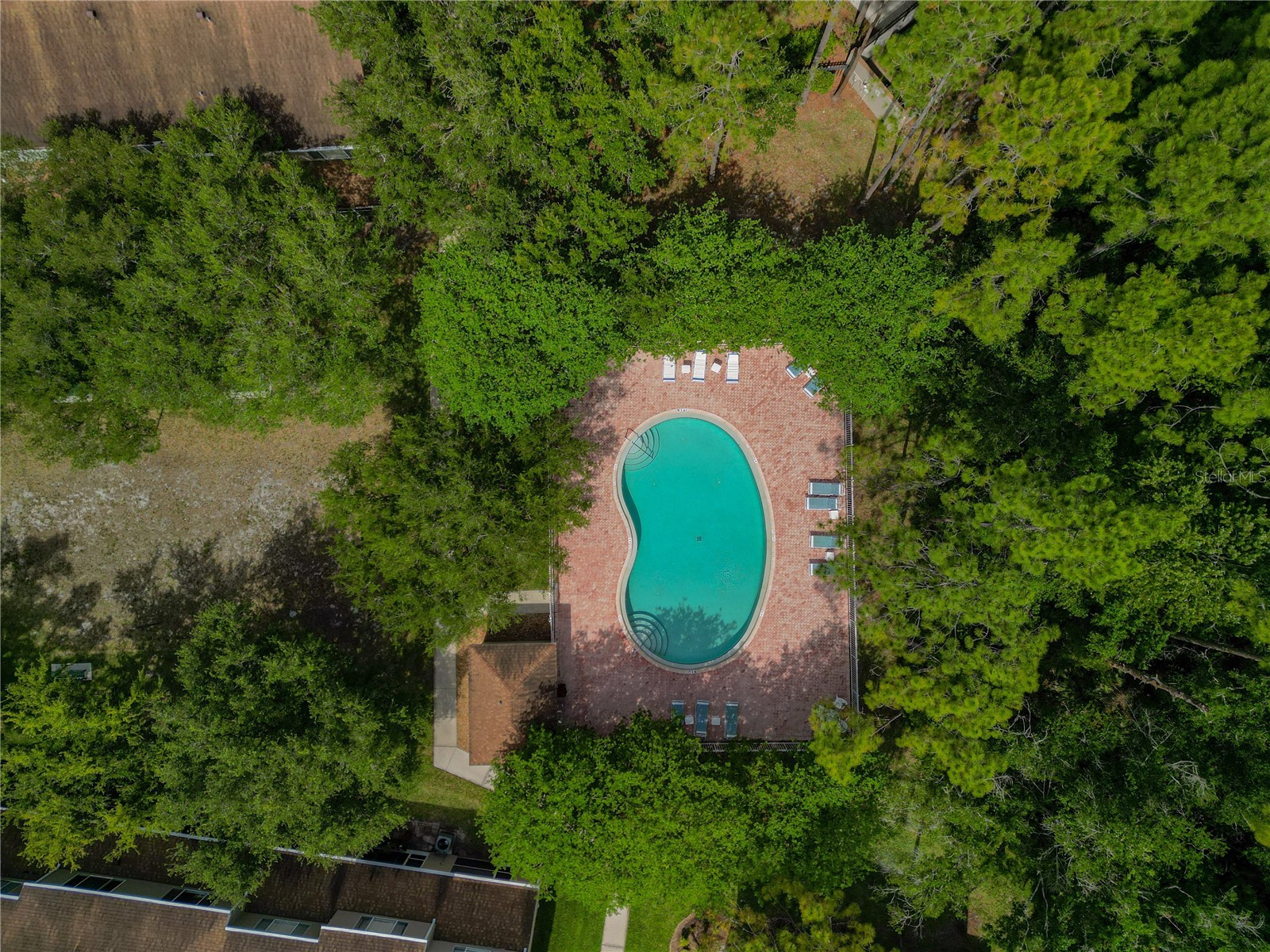 8671 Hunters Key Circle #8671 Tampa FL 33647 P4938650 image25