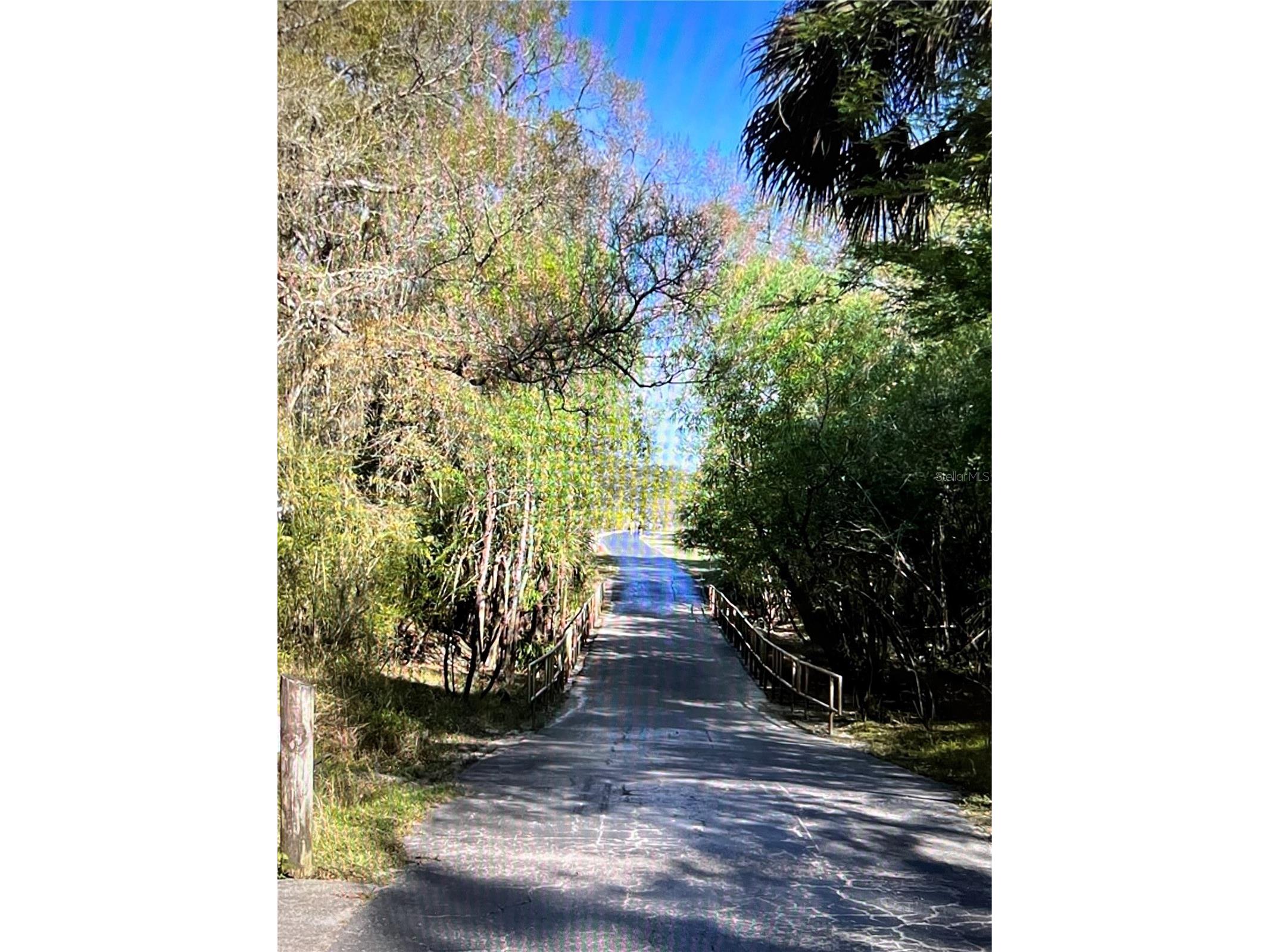 8671 Hunters Key Circle #8671 Tampa FL 33647 P4938650 image27
