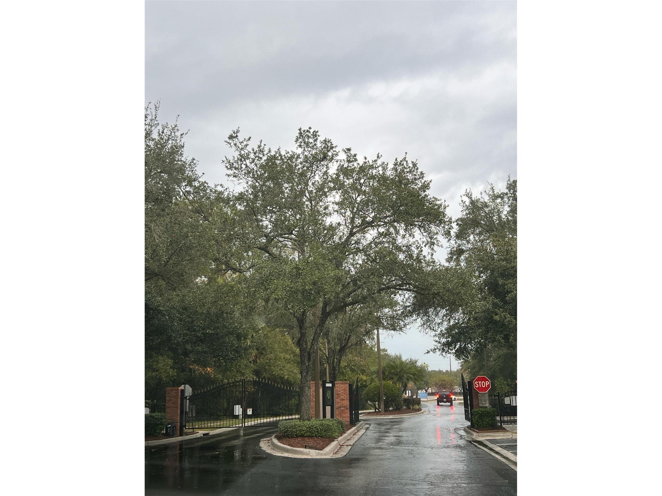 8674 Hunters Key Circle Tampa FL 33647 O6372897 image2