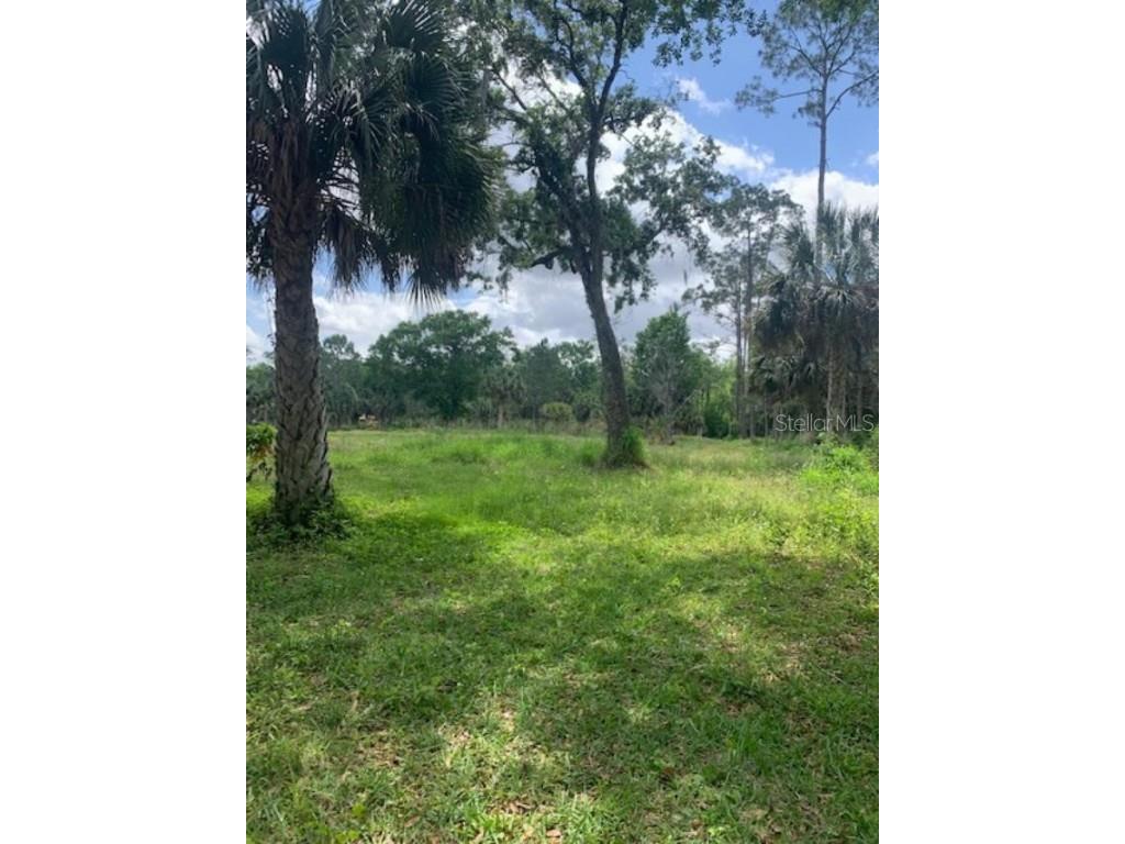8674 Sweetwater Trail Kissimmee FL 34747 S5066604 image1