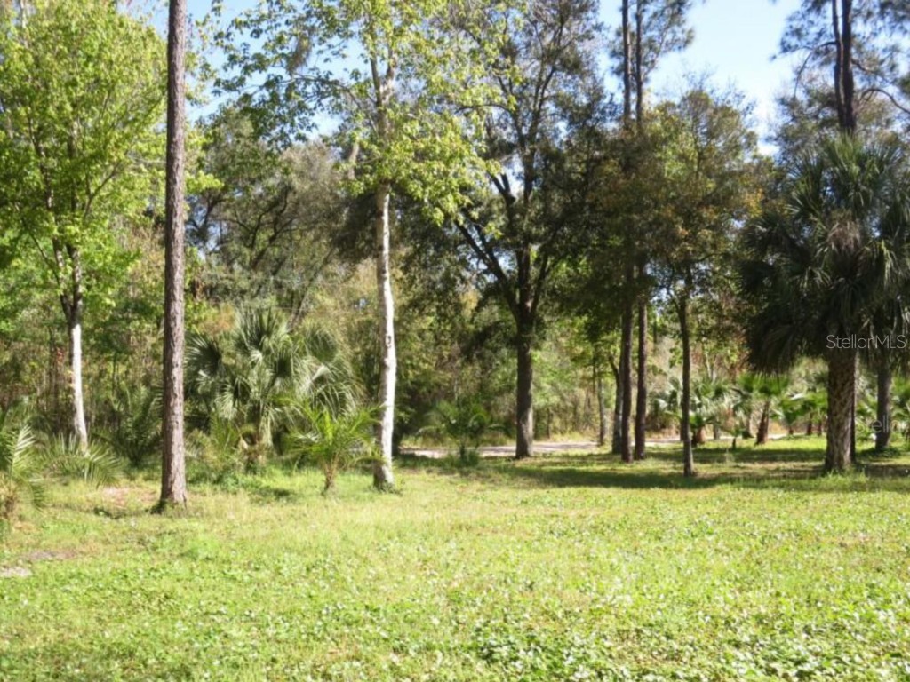 8674 Sweetwater Trail Kissimmee FL 34747 S5120616 image1